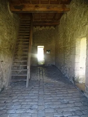 Le Fort Médoc à Cussac-Fort-Médoc