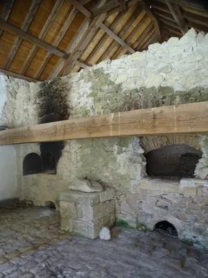 Le Fort Médoc à Cussac-Fort-Médoc